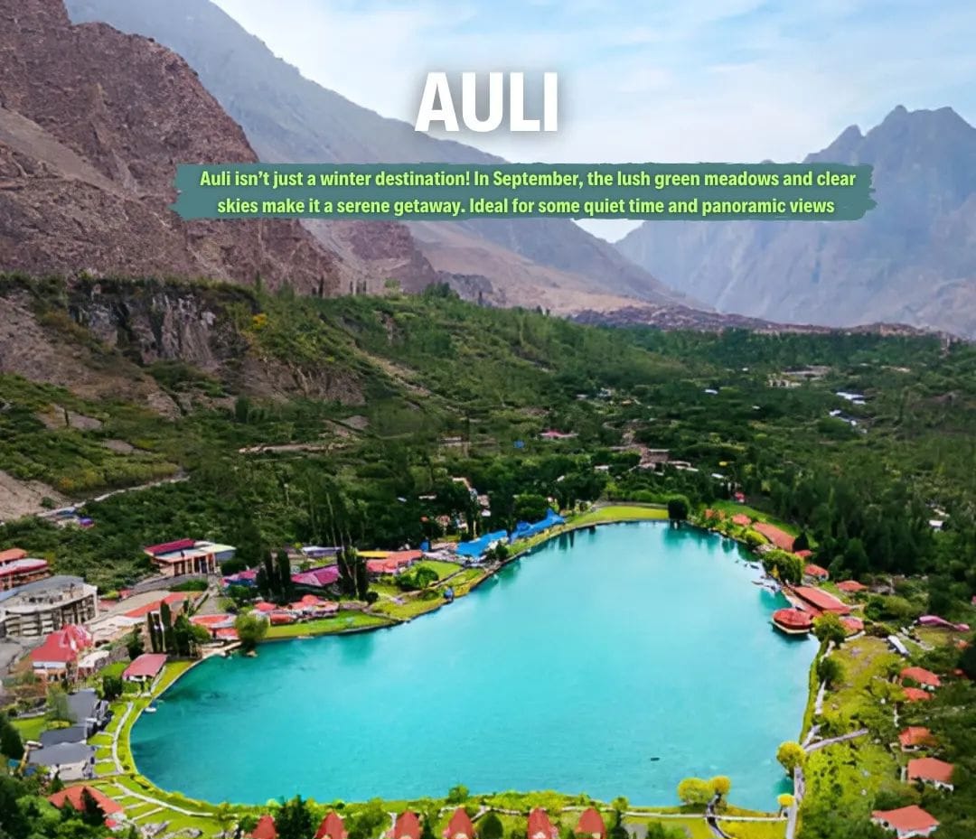 Auli